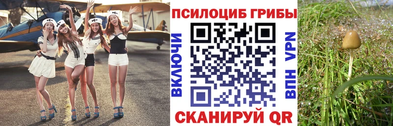 блэк спрут как войти Ханты-Мансийск Псилоцибиновые грибы GOLDEN TEACHER